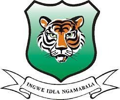 Ingwe TVET College Student