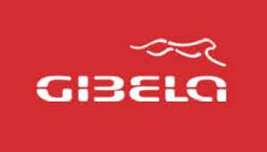 Graduate Opportunities At Gibela