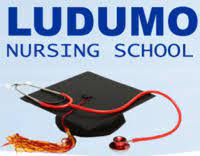 Ludumo Nursing School