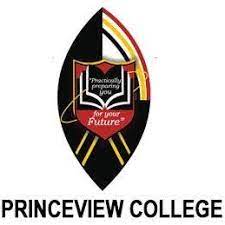 Princeview College