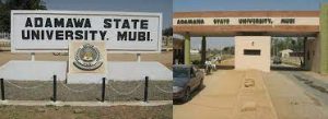 Adamawa State University